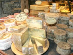 Как открыть свою сыроварню: бизнес-история Татьяны Дядечко Документы для производства сыра