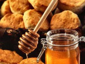 Ідея бізнесу: як відкрити виробництво та продаж меду
